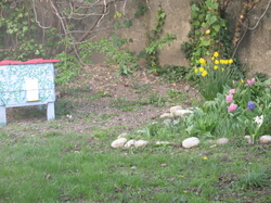 Le jardin de l'école au printemps V 16-03-18